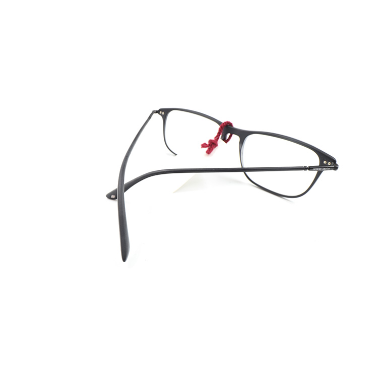 Giorgio Armani AR7038, Frame Of Life,  lens Width: 54, Bridge Width:18