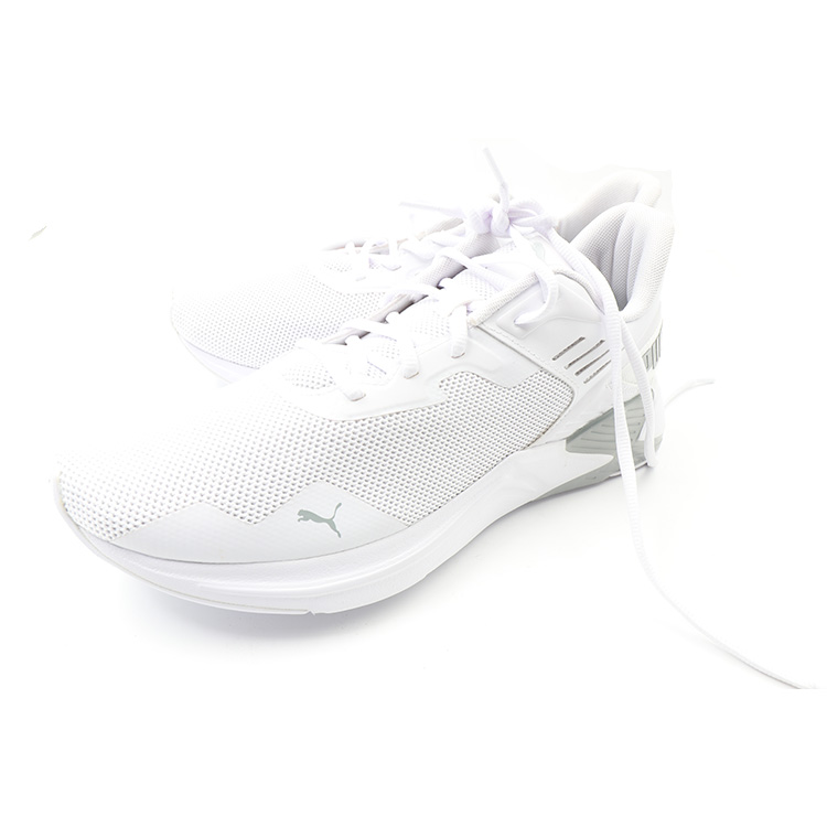 Puma Disperse XT2 WHT / GRY SIZE: FR 43 US 10