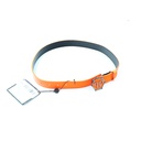 Philipp Plein Junior Belt Prince 2054 / 70