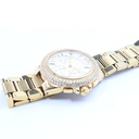 Michael Kors MK-6994, All Stainless Steel, 5 ATM
