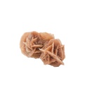 Desert Rose Small