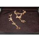 Aigner Necklace & Bracelet  Set