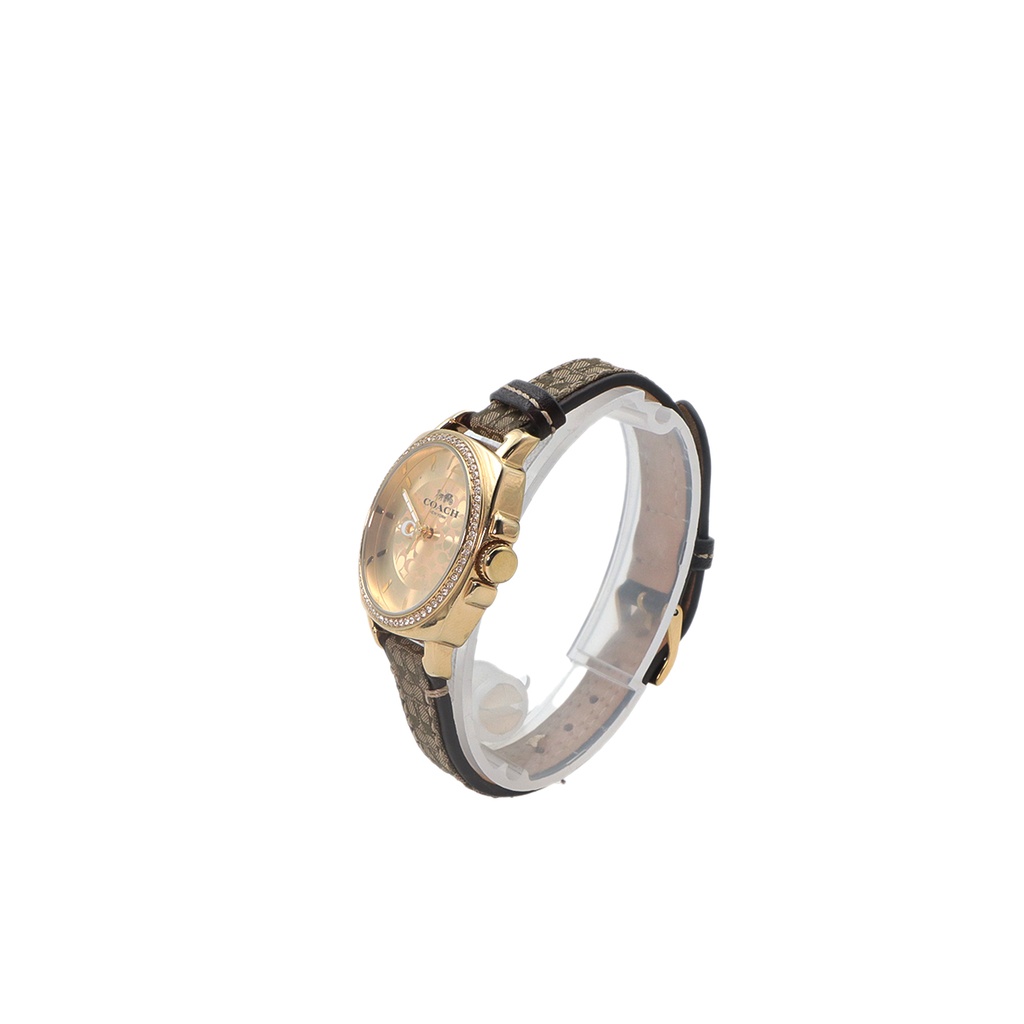 Coach Silver Dial Brown Leather Band Diamond Watch CA.64.7.95.1616S