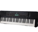 YAMAHA PSR-E273 Portable Keyboard With 61 Keys (Black)